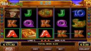 Slot Online: Panduan Pemula